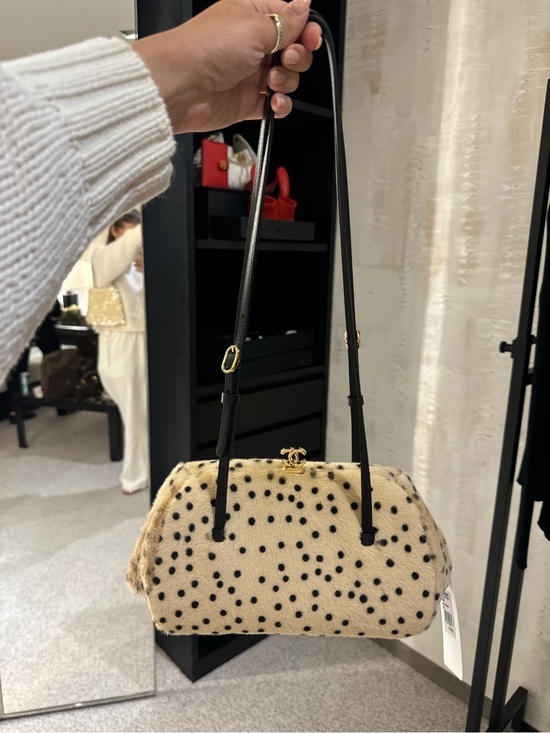 CHANEL Handbags - Chanel Métiers d’art limited bag!! Pony hair brand new